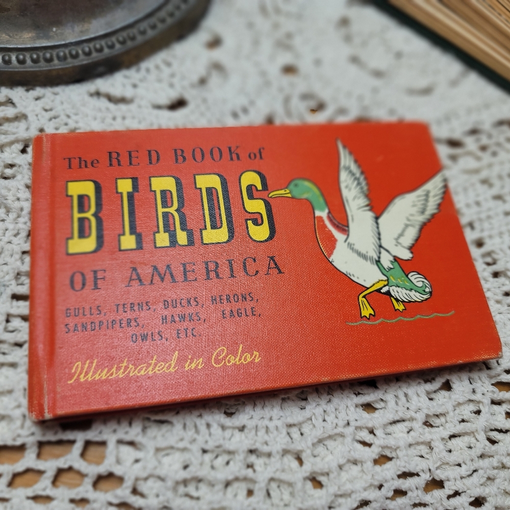 The Red Book of Birds of America